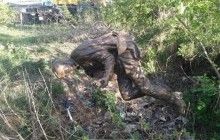 Вкрадений під Черніговом пам'ятник Марку Бернесу виявили у канаві