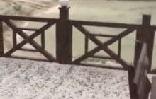 На Львовщине выпал град, за считанные минуты покрыл всю улицу (видео)