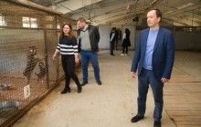 У київському притулку для тварин збудували 22 вольєри та капітально відремонтували дах - зам Кличка