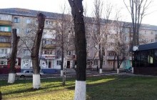 Урбаністи розповіли, як "бізнес" комунальників на тирсі знищує зелені насадження в містах