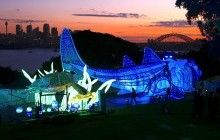 У зоопарку Сіднея в рамках проекту Vivid Sydney з'явилися гігантські фігури, що світяться (фото)
