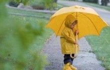 Майже в усіх регіонах України ввечері очікуються дощі, місцями град та шквали