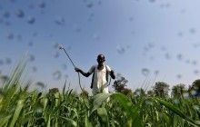 Из-за жары в Индии погибли почти 170 человек - СМИ