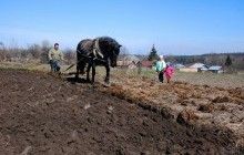 Треть россиян стали выживать как в 90-е, выращивая овощи на огороде - исследование