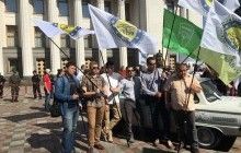 Под Радой активисты и представители УКРОПа требуют упростить ввоз подержанных авто в Украину (фото)
