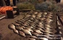 У Тернополі затримали браконьєрів, які виловлювали рибу з міського ставу у промислових масштабах (фото)