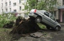 В результате урагана в Москве пострадали почти 170 человек