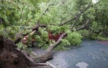 Число жертв урагана в Москве и Подмосковье увеличилось до 14 человек