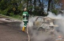 На Тернопільщині на трасі згорів автомобіль (фото)