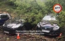 Непогода добралась до Киева: шквальный ветер валит деревья, одну из улиц затопило (фото, видео)