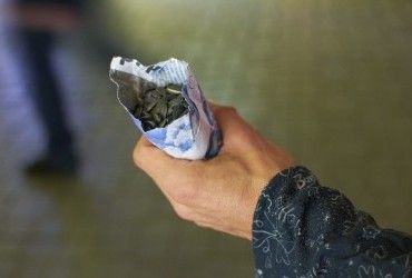 Як правильно їсти насіння соняшнику: експерти дали точну відповідь