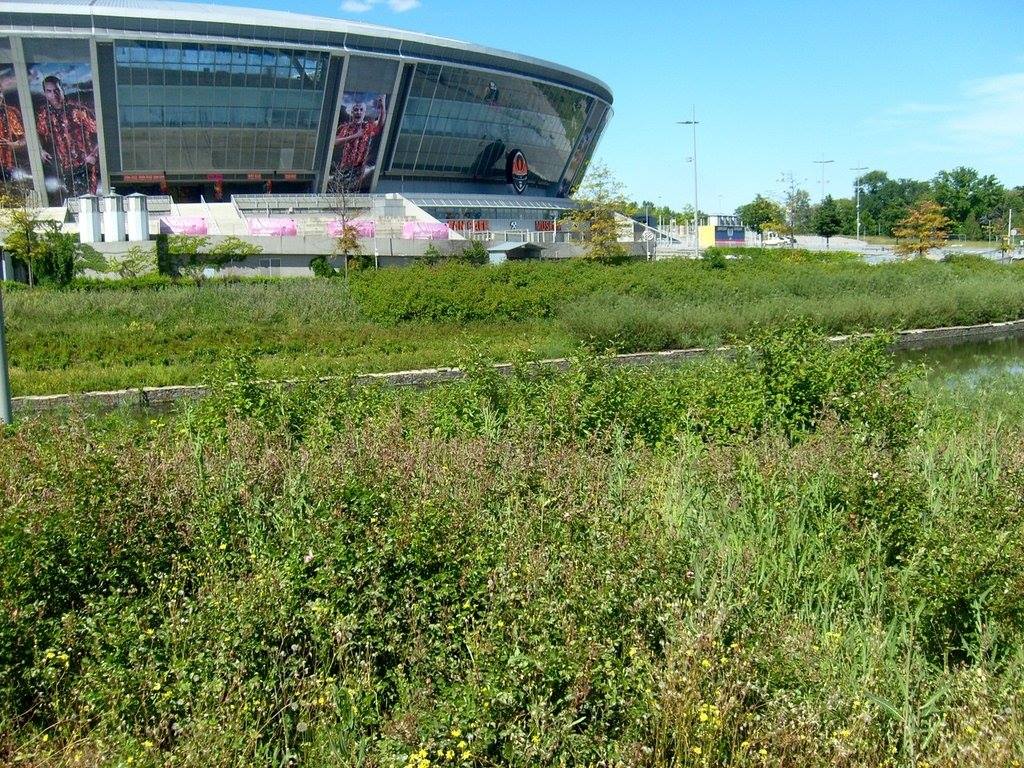 Донбасс-Арена в оккупированном Донецке / фото facebook.com/den.kazansky Донбасс-Арена в оккупированном Донецке / фото facebook.com/den.kazansky