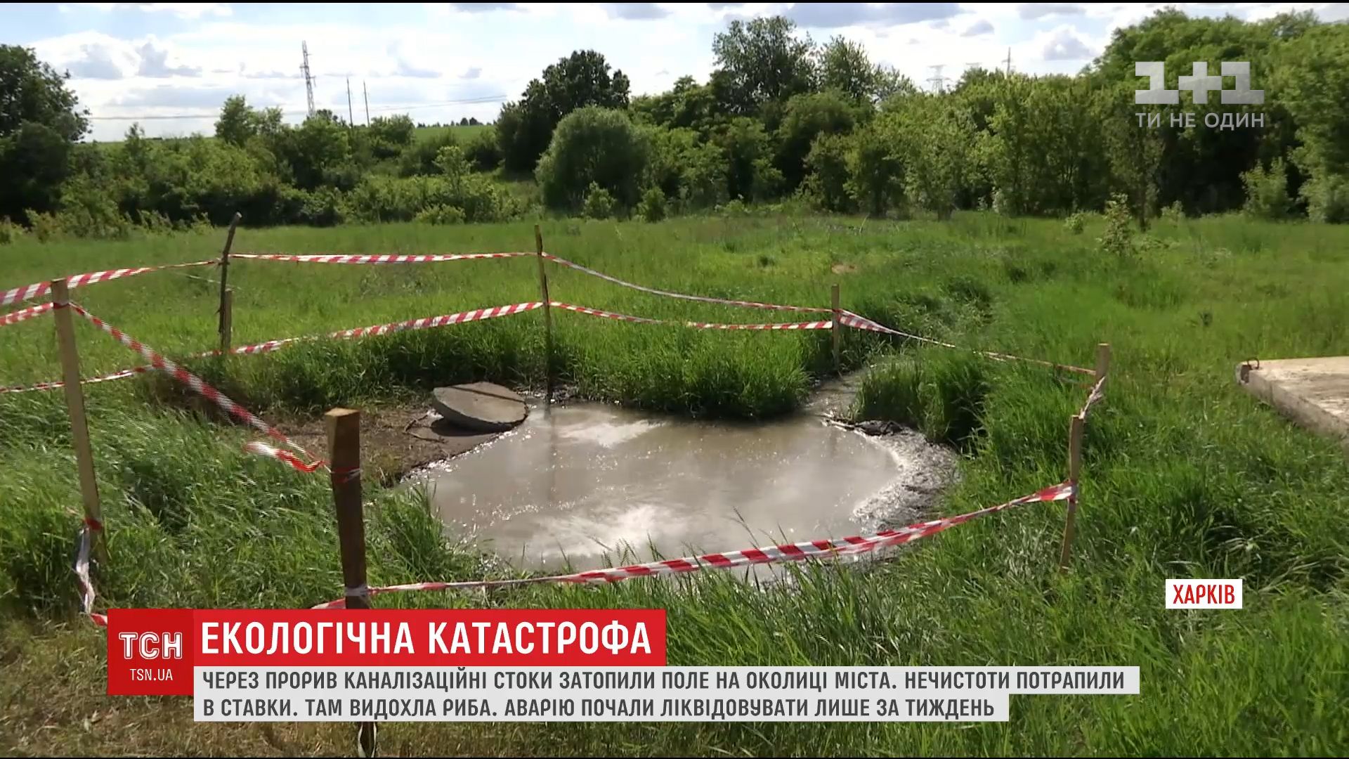 За прорыв канализации в Харькове нечистоты загрязнили поля и ставки / скриншот видео За прорыв канализации в Харькове нечистоты загрязнили поля и ставки / скриншот видео