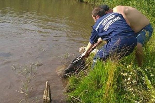 Девушку искали почти две недели / Фото vikna.if.ua Девушку искали почти две недели / Фото vikna.if.ua