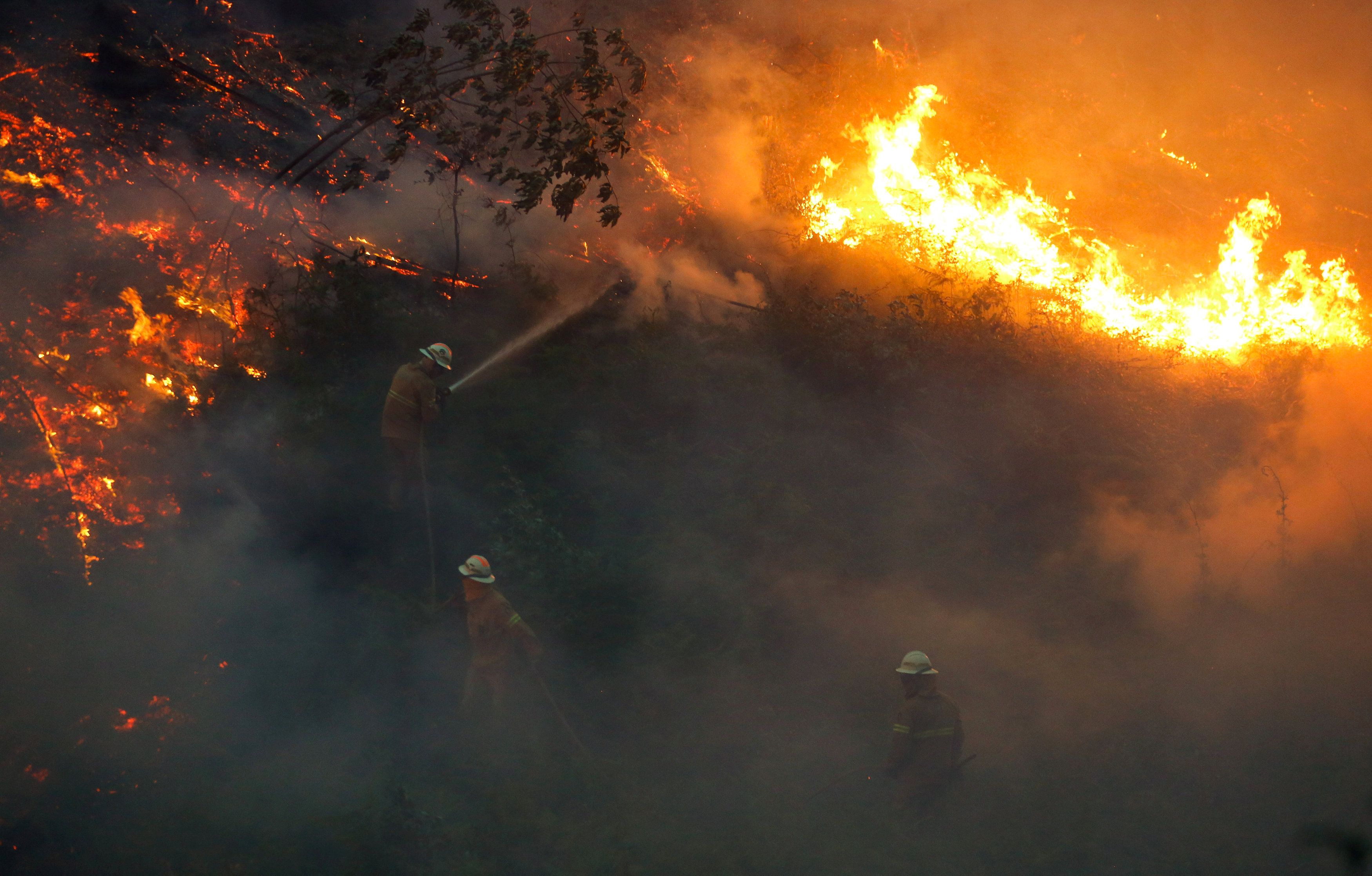 Лесные пожары в Португалии /  REUTERS