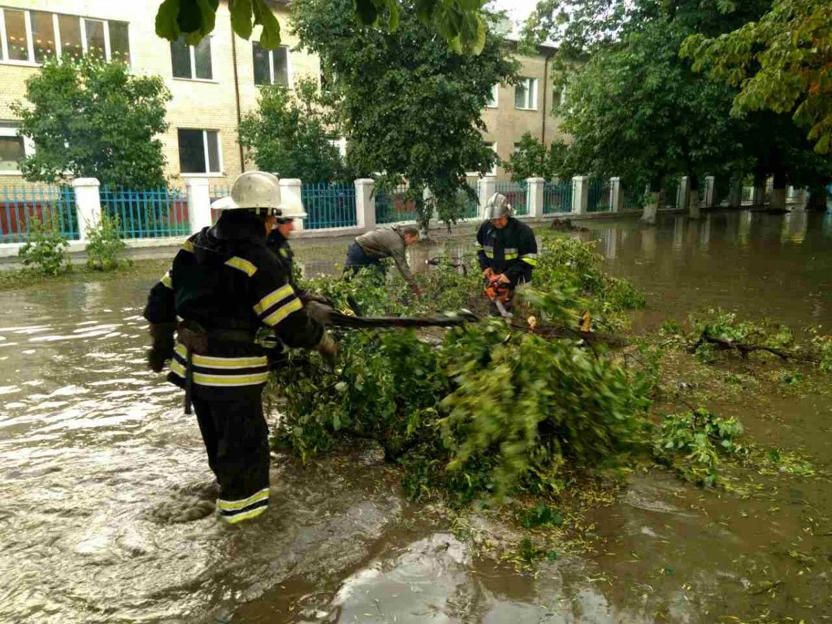 На Черкащині внаслідок падіння дерева загинула людина / ДСНС На Черкащині внаслідок падіння дерева загинула людина / ДСНС
