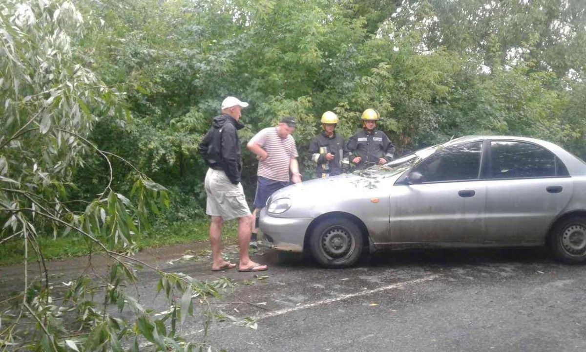 Інцидент стався учора в Гусятинському районі / фото УНІАН Інцидент стався учора в Гусятинському районі / фото УНІАН
