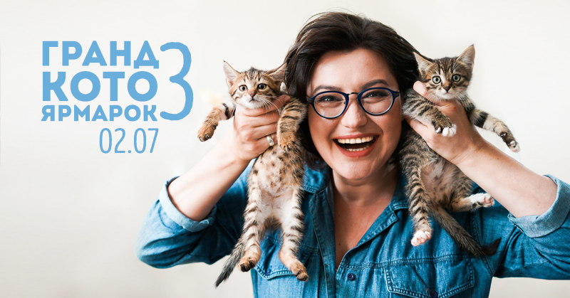 У неділю у Києві роздаватимуть котиків / фото facebook.com/catfair.kyiv У неділю у Києві роздаватимуть котиків / фото facebook.com/catfair.kyiv