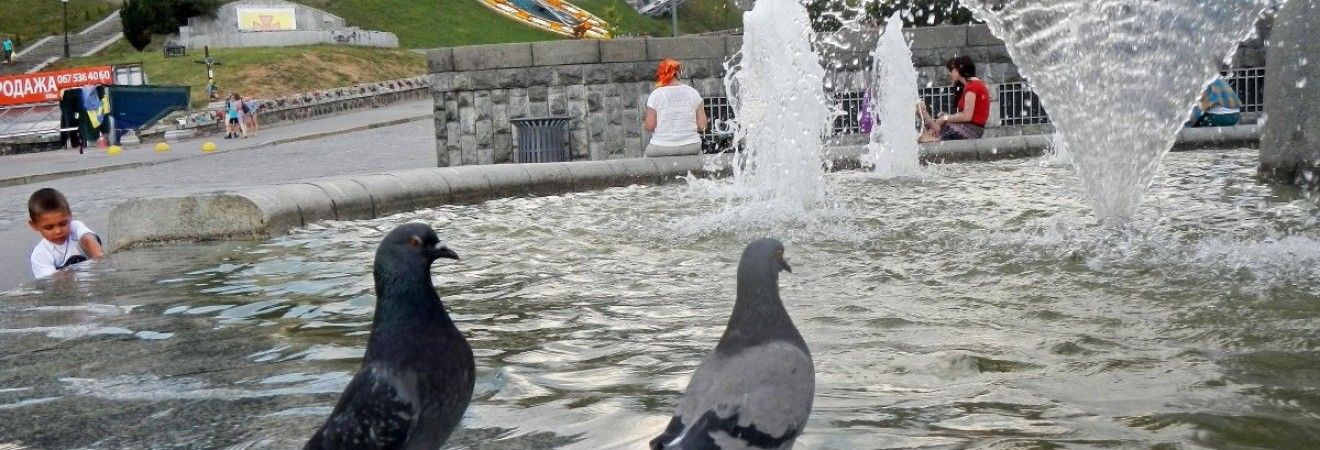 Завтра у більшості регіонів України буде спекотно, на заході пройдуть дощі (відеопрогноз)