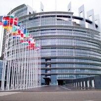 MEP Harms urges to boycott 2018 World Cup in Russia