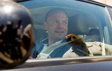 Действующий премьер заявил о победе своей политсилы в выборах на Мальте