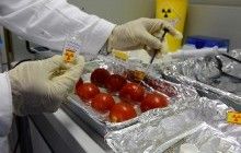 У світі 10 % усіх продуктів харчування, що продаються, є підробкою - ООН