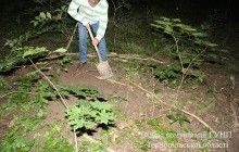 На Тернопільщині 31-річну матір підозрюють у вбивстві своєї новонародженої дитини
