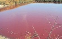 Спиртзавод на Вінничині труїть місцевих жителів стічними водами - ЗМІ