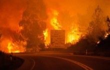 Число погибших в лесных пожарах Португалии возросло до 24 человек