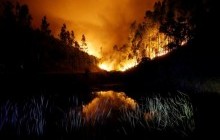 ЕС поможет Португалии в борьбе с лесными пожарами