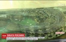 В Хмельницком в витрину магазина поместили живого крокодила (видео)