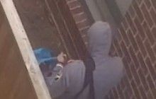 В Австралії злодій перед пограбуванням "релаксував" у будинку 5 годин: голився й задовольняв себе