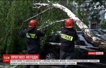 В Польщі лютують бурі зі зливами: у Варшаві поламані дерева, потрощені автівки, знесені дахи (відео)