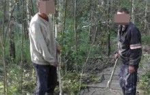 В Житомирской области снова задержали нелегальных копателей янтаря