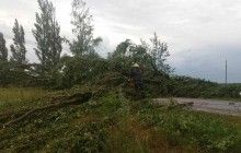 Наслідки негоди в Україні: майже 900 населених пунктів залишилися без світла (відео)