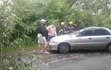 На Тернопільщині повалене негодою дерево пошкодило на трасі автомобіль (фото)