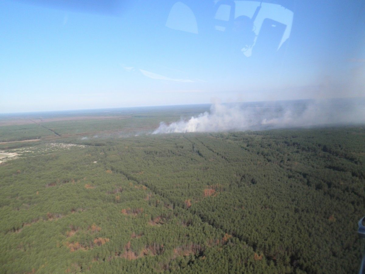 Пожежу ліквідували о 13:25 / ДСНС Пожежу ліквідували о 13:25 / ДСНС