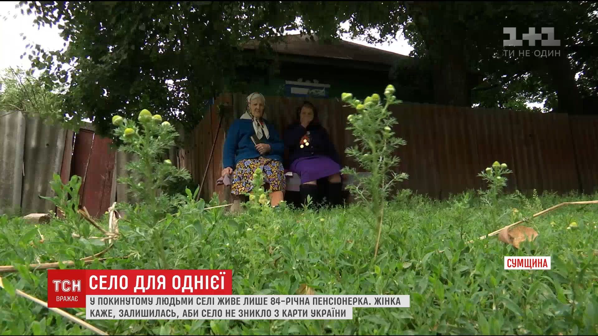 На Сумщині старенька залишилася останньою жителькою села / На Сумщині старенька залишилася останньою жителькою села /