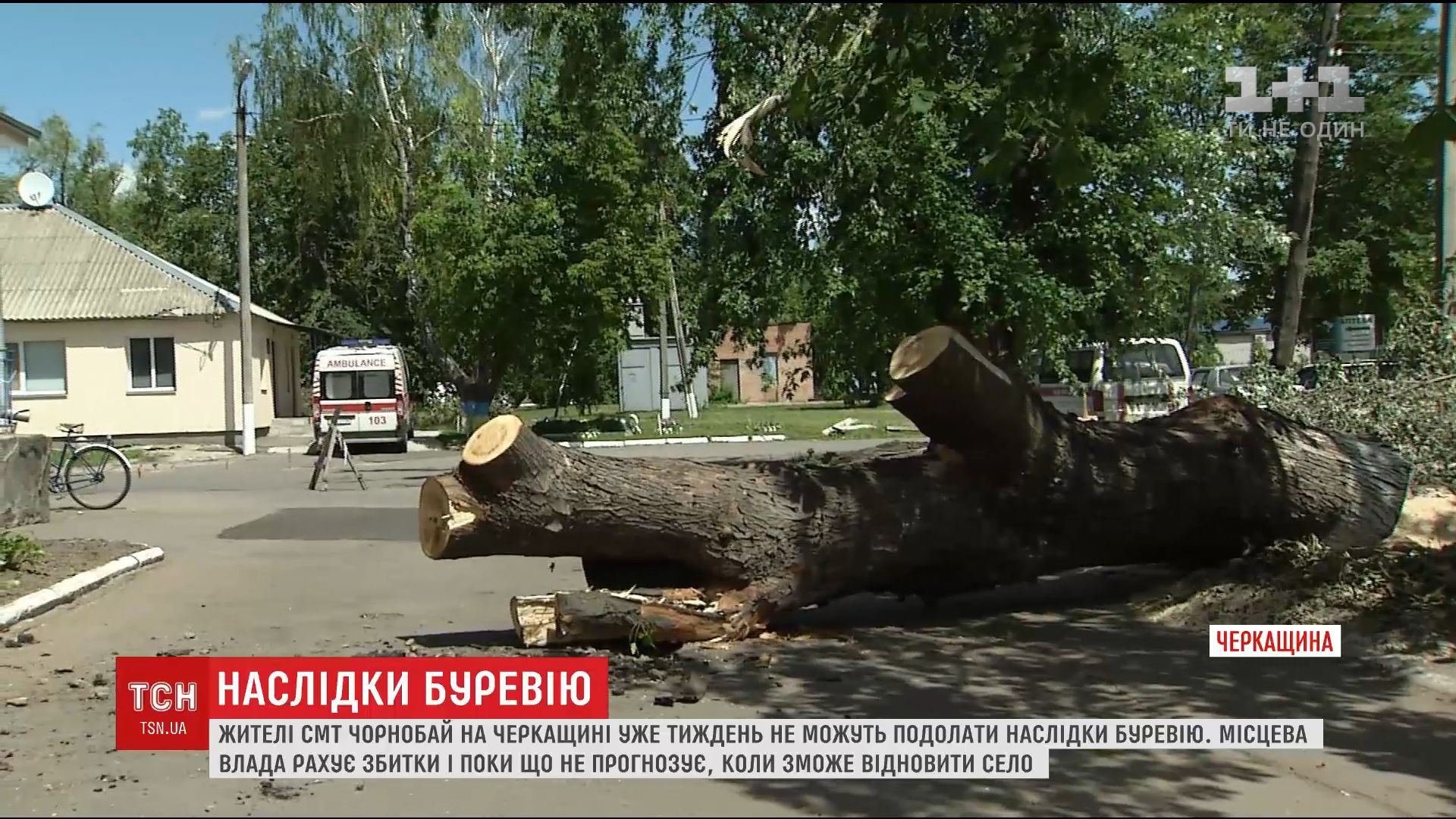 Жителі Черкаської області вже тиждень не можуть подолати наслідки страшного урагану / Жителі Черкаської області вже тиждень не можуть подолати наслідки страшного урагану /