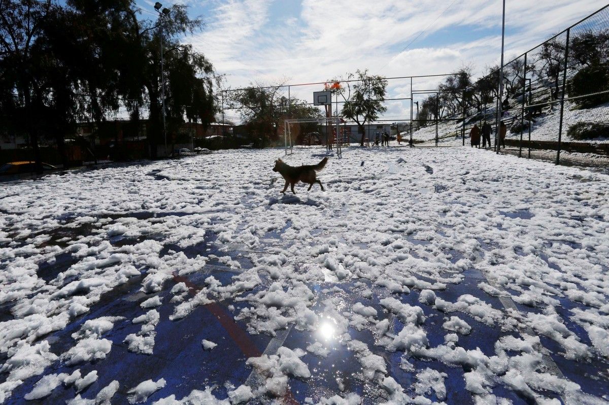 Ілюстрація / Reuters Ілюстрація / Reuters