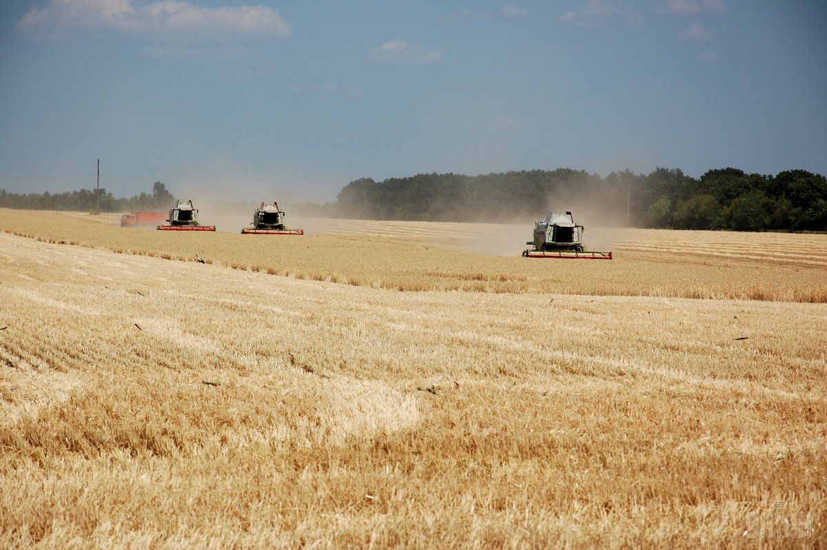 Аграрии отрапортовали о завершении уборки ранних зерновых и зернобобовых / Фото УНИАН