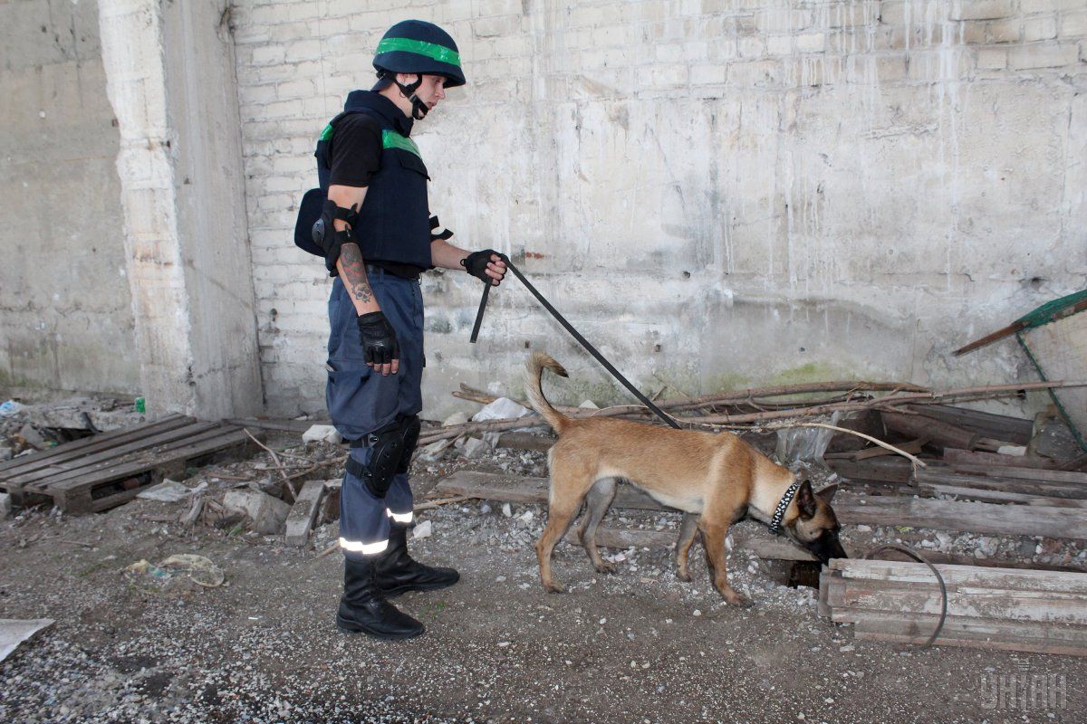 В Украине волна сообщений о минировании госучреждений и учебных заведений