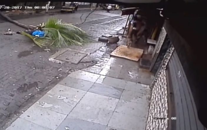 / скрин видео / скрин видео