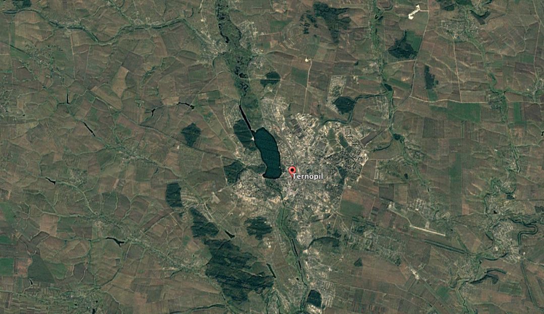 Снимок леса на Тернопольщине в 2005 году / фото Google Earth 