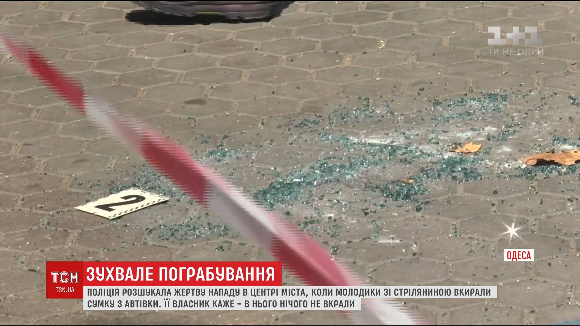 Правоохранители и без заявления имеют основания для начала уголовного производства / скриншот Правоохранители и без заявления имеют основания для начала уголовного производства / скриншот