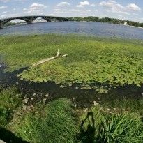 EU-supported campaign to raise awareness of phosphate pollution of Dnipro River comes to end – media