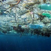 В Тихом океане обнаружено еще одно гигантское скопление пластика