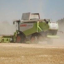 Ukraine threshes almost 38 mln tonnes of grain