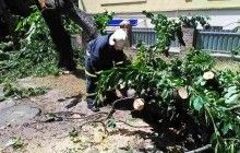 Последствия непогоды в Украине: поваленные деревья, сорванные крыши и обесточены населенные пункты (фото)