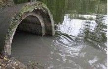 Екоінспекція виявила скид неочищених вод в Тернопільський став, що спричинило збитки на 61 тисячу гривень